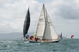 scintilla of the sea 920y whyw23 sun 800 3289